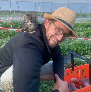 Flo au travail avec sont petit chat Un homme portant des lunettes et un chapeau de paille est accroupi dans une serre, souriant tout en cueillant des fraises. Un petit chaton gris et blanc est assis sur son épaule. Un panier rempli de fraises est devant lui.